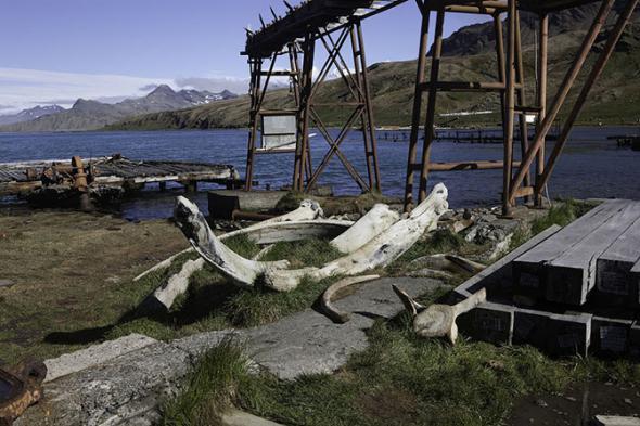 Церкви Антарктиды