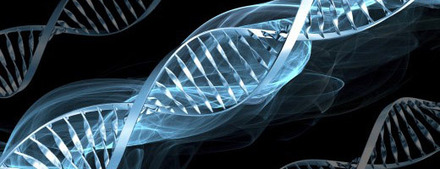 ДНК идентификация — от пограничного пункта аэропорта Хитроу до Ричарда III