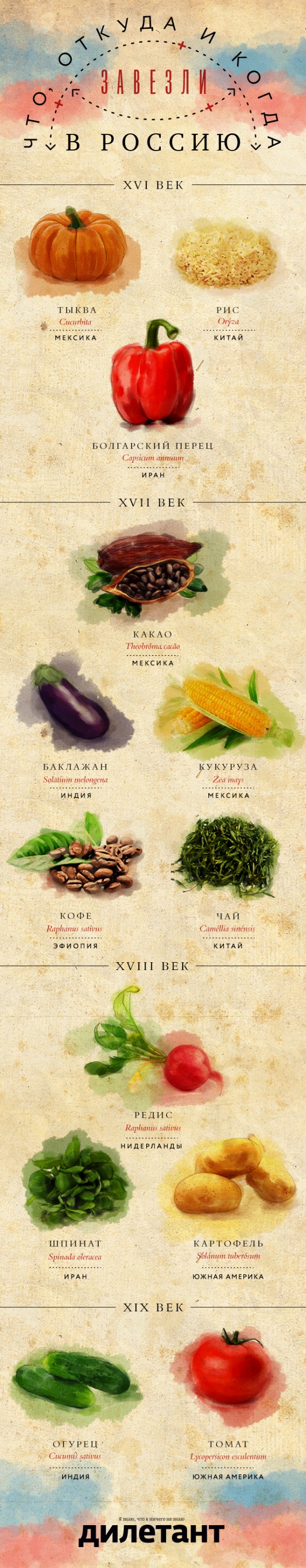 Инфографика: Что, откуда и когда завезли в Россию